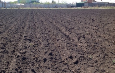 Обработка земли под картофель: осеню и весной, вспашка и удобрения почвы